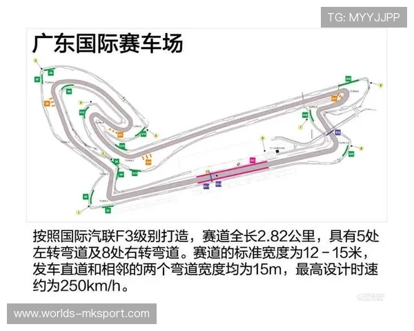 国际汽联澄清赛车底板灵活度测试标准及其实施细则解读
